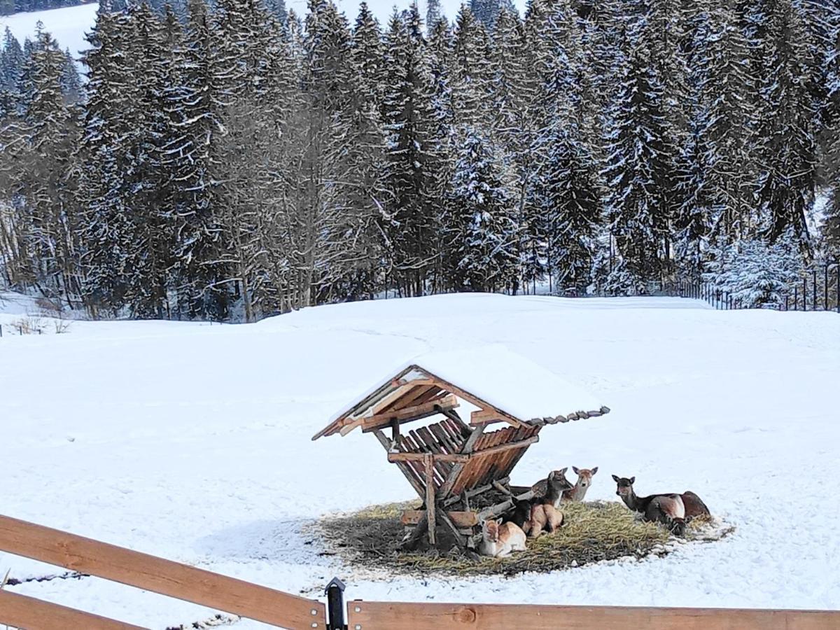 Osrodek Wypoczynkowy U Bartka Bed and Breakfast Czerwienne Exteriör bild